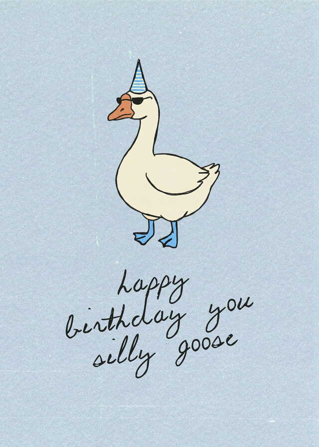 Silly Goose